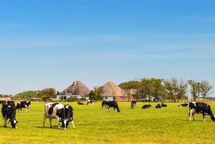 BNG_Duurzaamheidsfonds_hoofdbeeld_wei_1920x400px